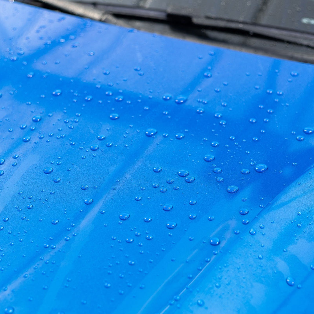 Cartec Wet & Protect